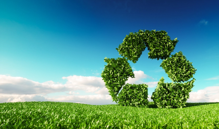 Scope 1, 2 & 3 emission calculator